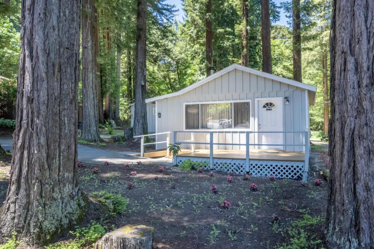 Masoods Lodge Boulder Creek Экстерьер фото